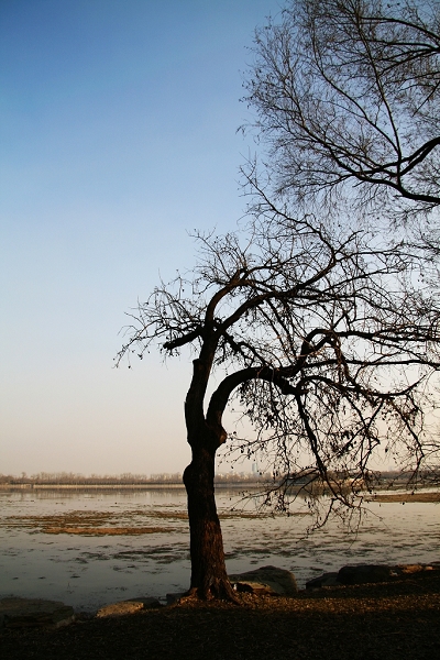 2009-11-27_01